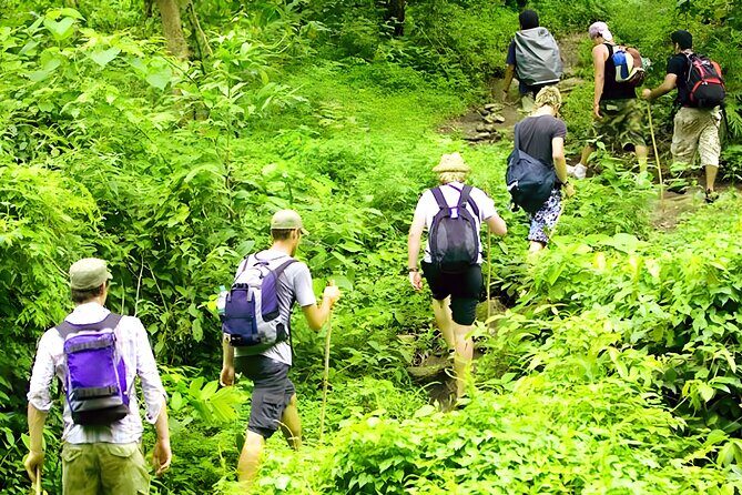 Jungle Trekking and Tamblingan Lake Canoeing in Bali Rainforest - The Experience in Action: What Reviewers Say