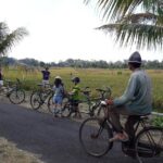 Kaba Kaba Reason for Harmony Cycling - Key Points