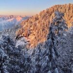 Kaflani Day Hike - Mussoorie - An In-Depth Look at the Kaflani Day Hike
