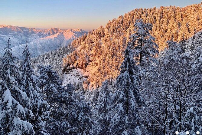 Kaflani Day Hike - Mussoorie - An In-Depth Look at the Kaflani Day Hike