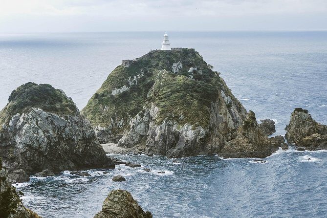 Kagoshima Private Customizable Half Day Tour - The Sum Up