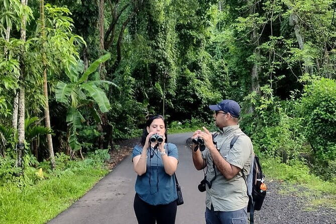 Kalapathar Sunrise, Birdwatching and Village Tour - What’s Included and What You Should Consider