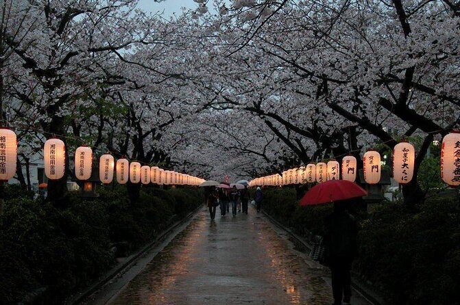 Kamakura & Yokohama One-Day Tour with English Driver - Practicalities and Highlights