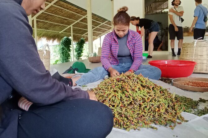 KAMPOT- Pepper farm .Cave . Secret Lake & salt fields - FAQs