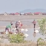 KAMPOT TRAVEL-Pepper farm. Cave.Secret lake-Crab market & Salt... - What the Tour Includes and What to Keep in Mind