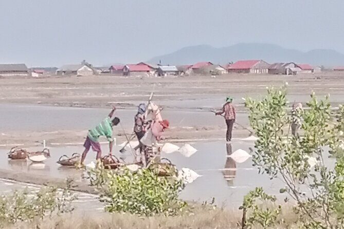 KAMPOT TRAVEL-Pepper farm. Cave.Secret lake-Crab market & Salt... - What the Tour Includes and What to Keep in Mind