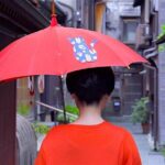 Kanazawa Half Day Tour (Private Guide) - The Practical Side: What’s Included and What’s Not