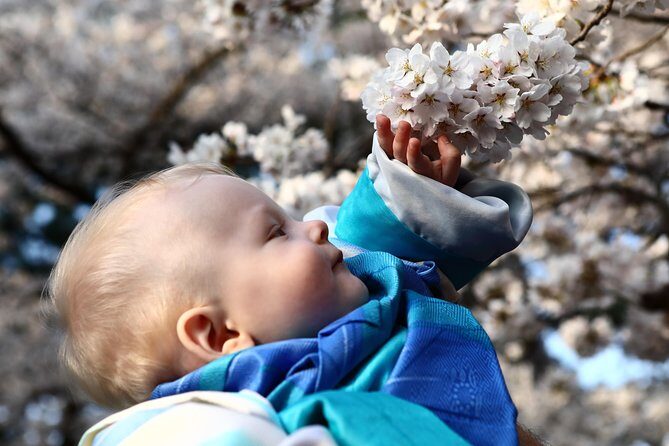 Kanazawa private half day/Photoshoot by professional photographer - Who Should Book This Tour?