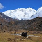 Kanchenjunga Circuit Trek - Analyzing the Value