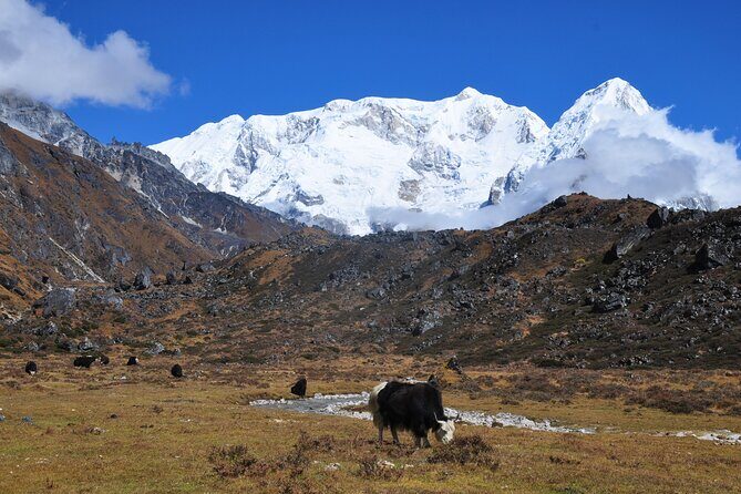 Kanchenjunga Circuit Trek - Analyzing the Value