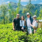 Kandy City Day Tour - The Sum Up: Is This Tour Right for You?