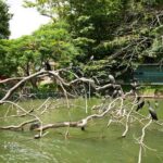 Kandy City Day Tour with a verified tour guide - Practical Details and What to Expect
