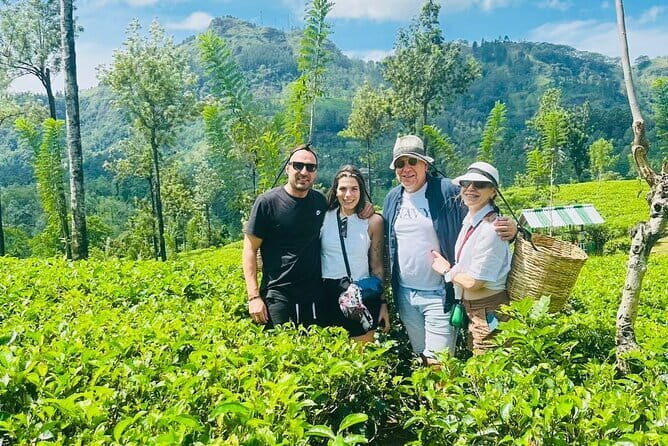 Kandy City Day Tour - The Sum Up: Is This Tour Right for You?