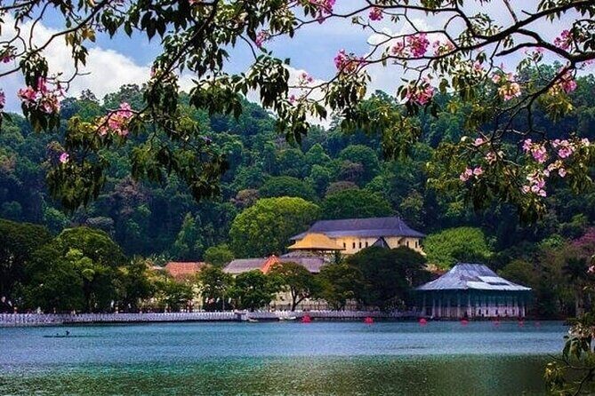 Kandy Day trip from Kalutara Beruwala Bentota Aluthgama Wadduwa - FAQ