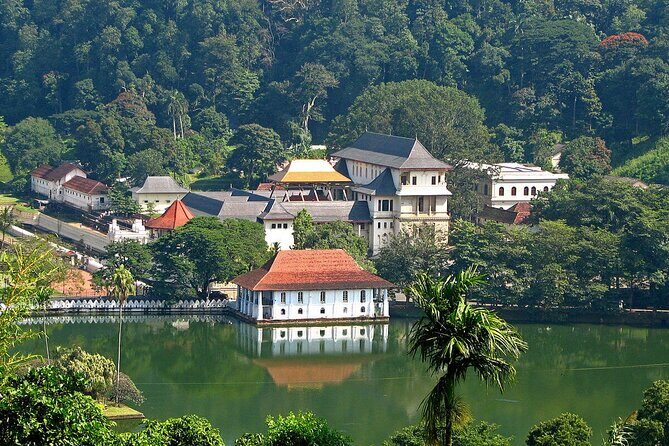 Kandy Day Trip with Tooth Relic Temple & Unique Attractions - Pricing and Overall Value