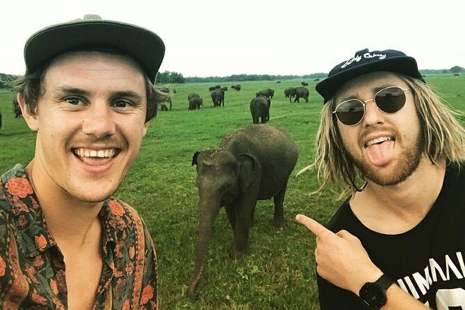 Kandy - Minneriya National park & Sigiriya Rock Fortress (Tours & Entrance fees) - Value and Pricing