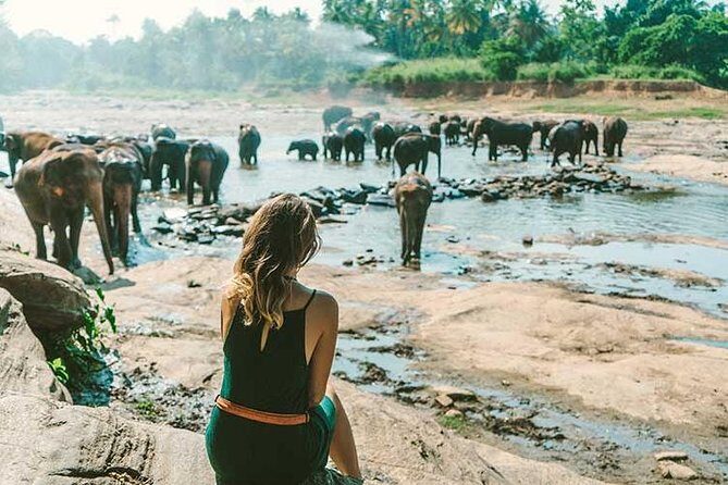Kandy & Nuwara Eliya | 2 Days Tour - Who Will Love This Tour?