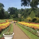 Kandy Private Day Tour - Detailed Breakdown of the Itinerary