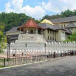 Kandy Private Day Tour Ahungalla/Kosgoda/Bentota/Beruwala/Kaluthara - A Detailed Look at the Tour Experience