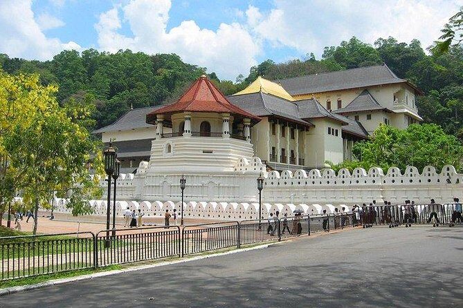 Kandy Private Day Tour Ahungalla/Kosgoda/Bentota/Beruwala/Kaluthara - A Detailed Look at the Tour Experience