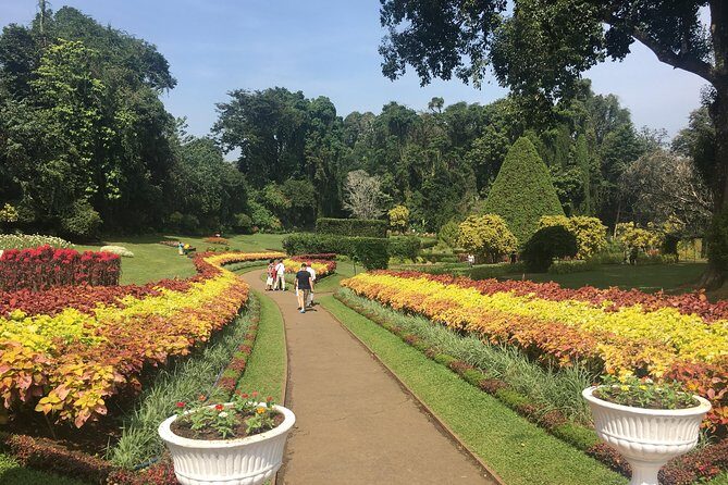 Kandy Private Day Tour - Detailed Breakdown of the Itinerary