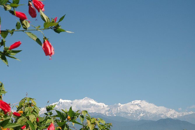 Kathmandu and Pokhara: A Journey Through Nepal's Cultural and Natural Wonders - The Itinerary: Breaking Down the Highlights