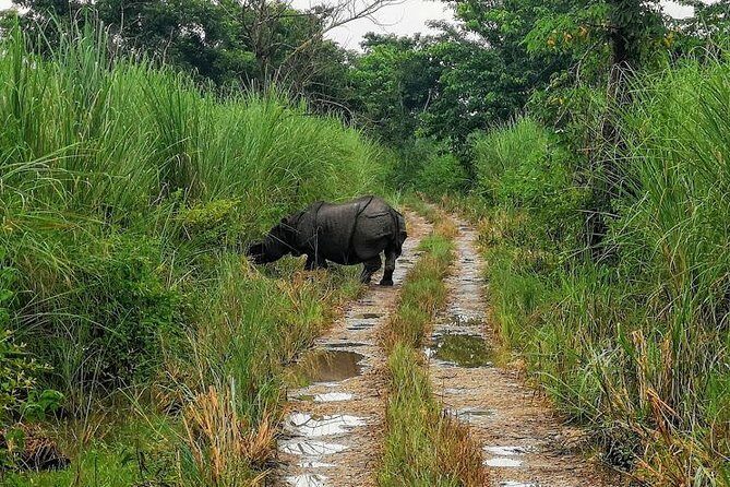 Kathmandu Chitwan Pokhara Tour - What’s Included & What to Consider