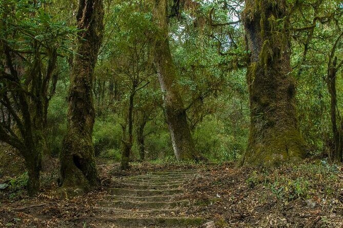 Kathmandu Shivapuri National Park and Nagarkot Hiking - 3 Days - Authentic Encounters and Highlights