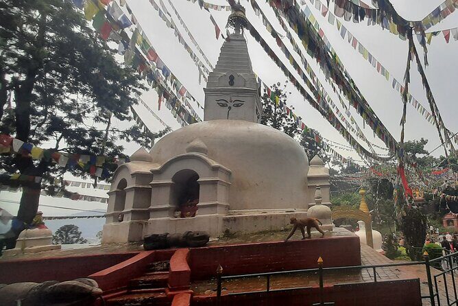 Kathmandu Valley Day Tour: 2 or 4 UNESCO Heritage Sites Option - What Makes This Tour Stand Out?