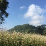 Kathmandu Valley Rim Trekking - 3 days - Who Would Love This Tour?