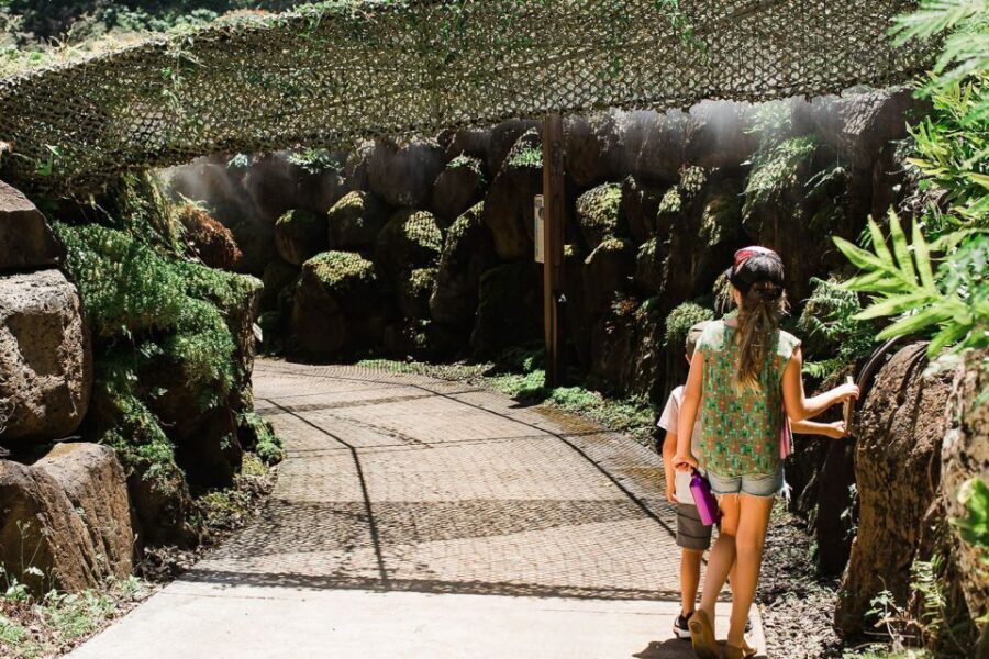 Kauai: McBryde Garden Self Guided Visit - The Real Value: What You Get for $32