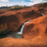 Kauai Private Guided Tour to Waimea Canyon from Nawiliwili - Who This Tour Is Best For