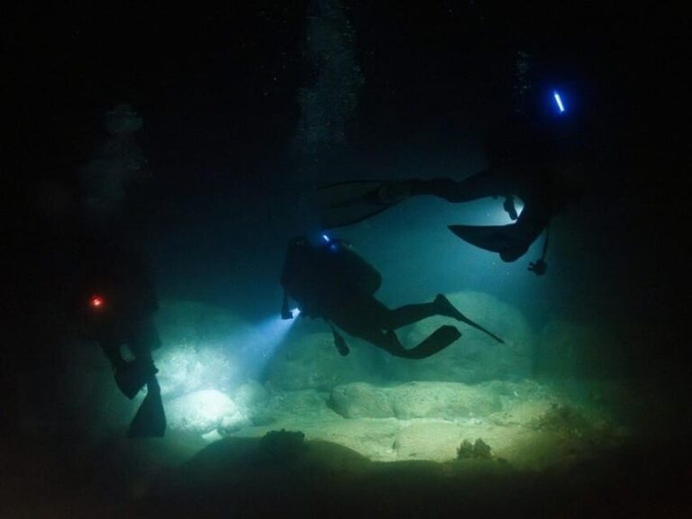 Kauai: Twilight/Night Shore Dive Experience - What Makes this Dive Special?