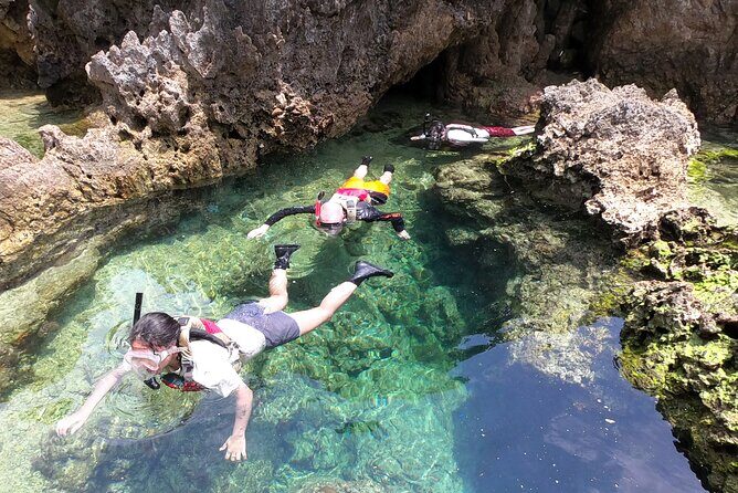 Kayak & Snorkel: private tour in Yanbaru, north Okinawa - Price and Value