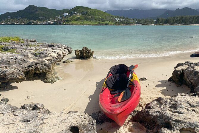 Kayak Stand Up Paddle Board SUP Rental - Who Will Love This Experience?