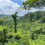 Kbal Spean Lingar River, Banteay Srei Temple & Pre Rup Tour - Final Thoughts: Who Is This Tour Best For?
