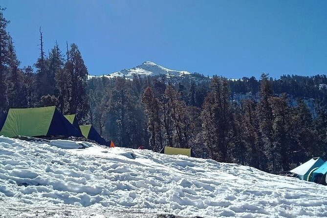 Kedarkantha Trek (Dehradun to Dehradun) - Authenticity and Practicalities