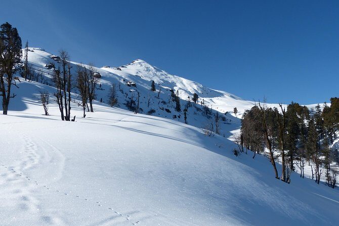 Kedarkantha Trek - Inside the Experience: What Makes It Special
