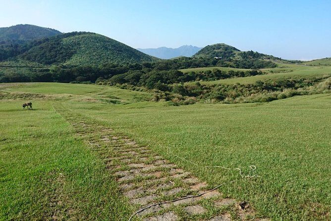 Keelung Shore Excursion: Yangmingshan Hot Spring and Wild Vegetable Cuisine Tour - An In-Depth Look at the Yangmingshan Shore Excursion