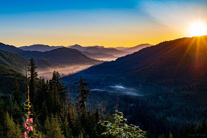 Ketchikan Backcountry Driving Tour Through the Tongass - Who Will Love This Tour?