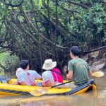 Khao Lak Elephant Sanctuary Visit and Mangrove Kayak Tour - What to Expect During the Tour