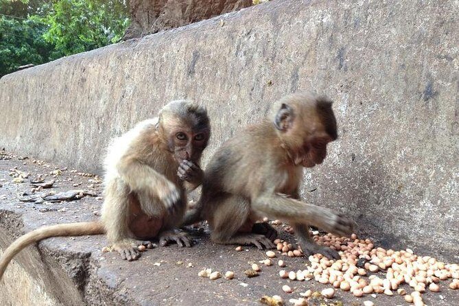 Khao Lak : Full-Day Temple Tour Including Dragon Cave - A Closer Look at the Experience