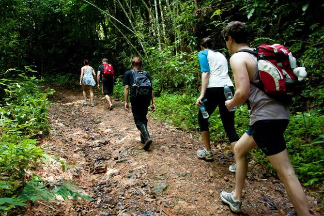 Khao Sok National Park Hiking and Bamboo Raft Tour From Khao Lak - Practical Details and Tips for Travelers