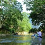 Khao Sok National Park Jungle Safari Full Day Tour from Phuket - Practical Details & What to Expect