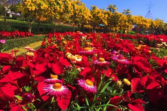 Khao Yai national Park day tour from Bangkok - The Experience’s Strengths and Limitations