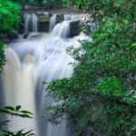 Khao Yai National Park Full-Day Tour From Bangkok - What Makes This Tour Stand Out?