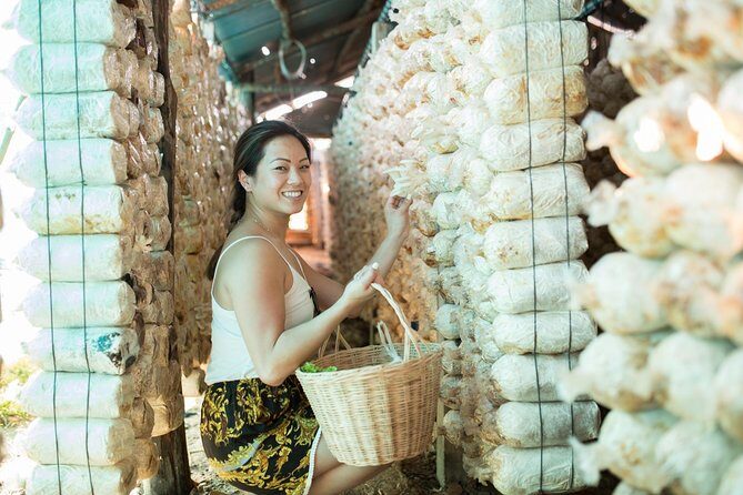 Khmer Cooking Class at a Local's Home in Krong Siem Reap - Who Will Love This Experience?
