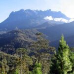 Kinabalu Park & Poring Hot Spring Tour - Detailed Breakdown of the Itinerary