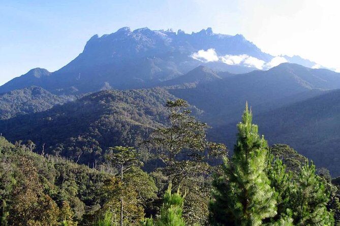 Kinabalu Park & Poring Hot Spring Tour - Detailed Breakdown of the Itinerary