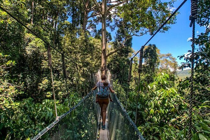 Kinabalu Park Tour with Desa Dairy Farm & Poring Hot Springs - A Detailed Breakdown of the Itinerary